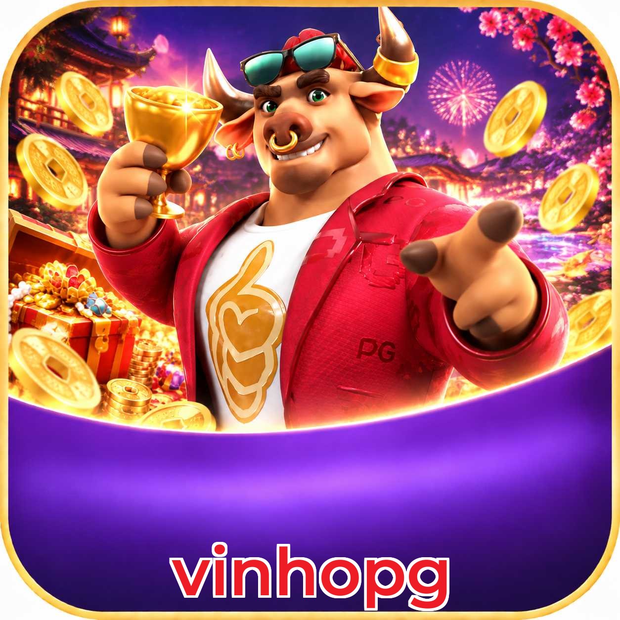 Programa VIP vinhopg — 5 níveis de progressão automática