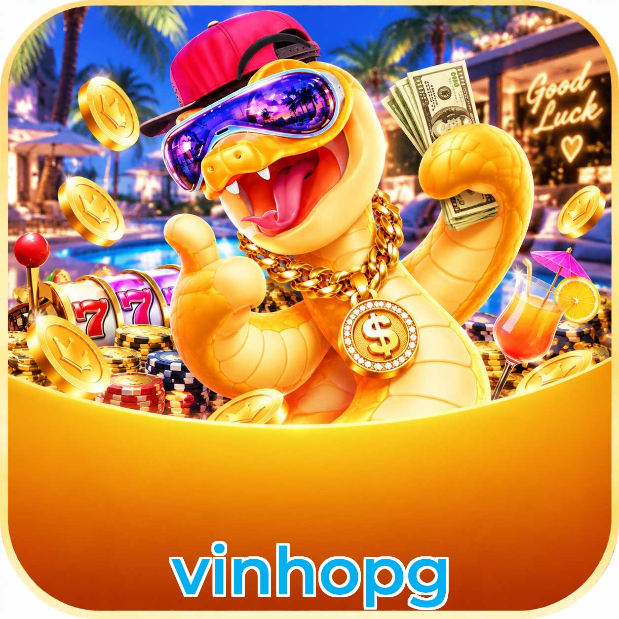 APP vinhopg para iOS e Android com 187 mil downloads