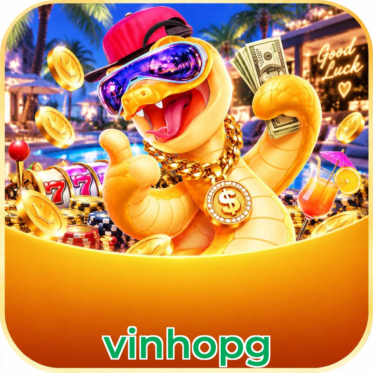 Download oficial vinhopg seguro para Android e iOS