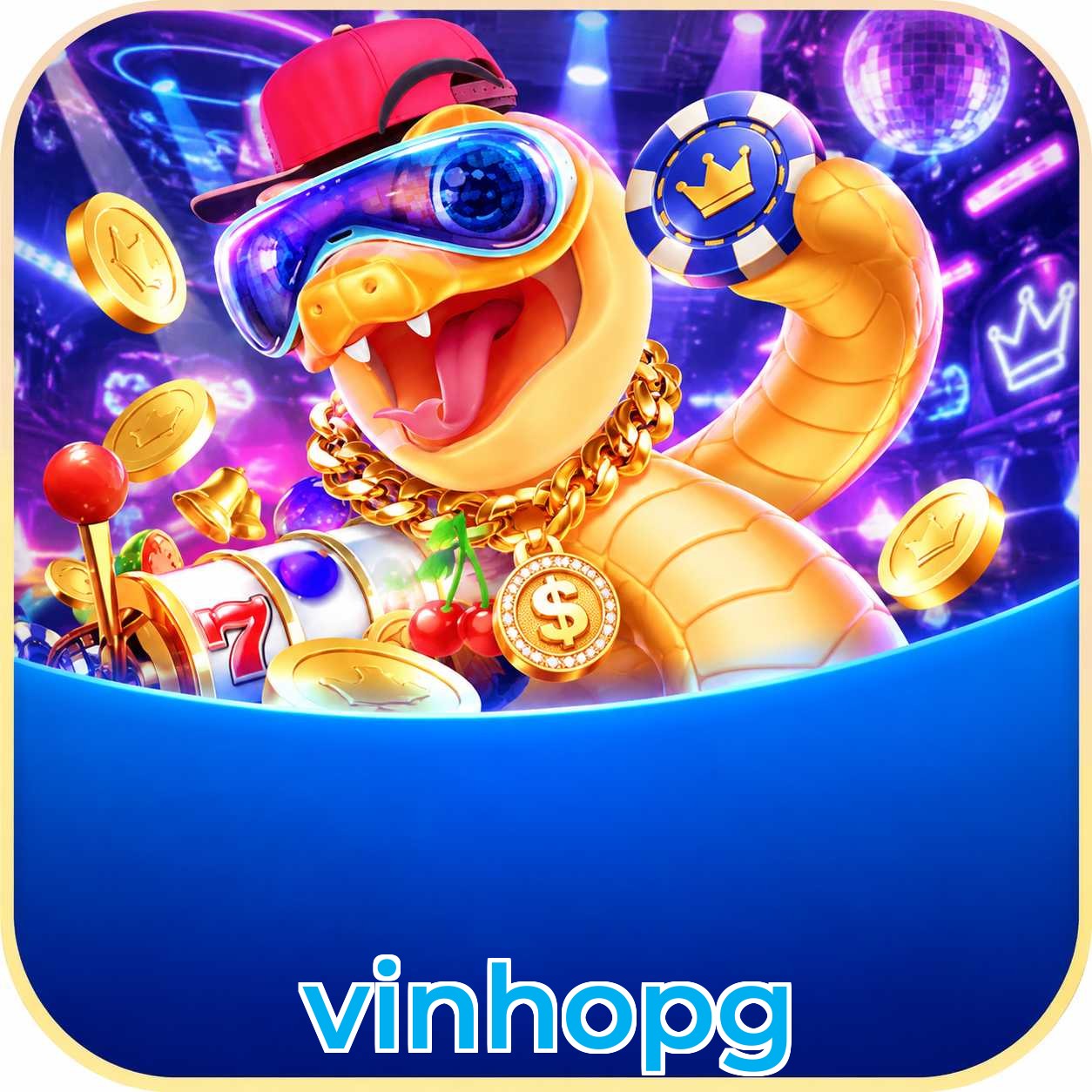 vinhopg em números - plataforma líder no Brasil desde 2020